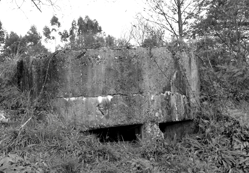 Foto de nido de ametralladoras en el Rebollal. Es una estructura de hormigón con dos troneras en la parte inferior que semejen ojos.