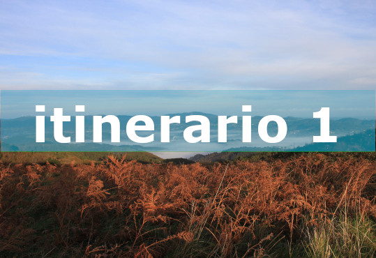 foto del itinerario 1 cuyo color distintivo es el azul