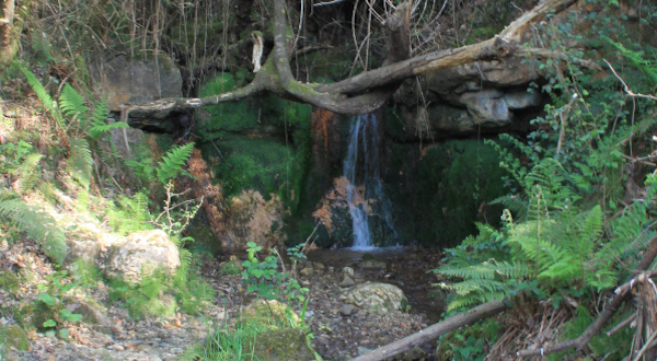 foto del agua del manantial de Boo en plena naturaleza