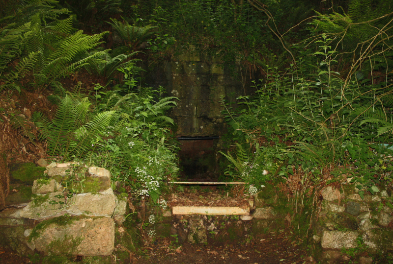 foto de entrada a la mina. Rodeada de vegetación y flanqueada por dos muros de piedra se ve la bocamina.