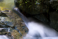 foto miniatura del Manantial de Lillo 