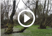 foto miniatura de la laguna Piolaya