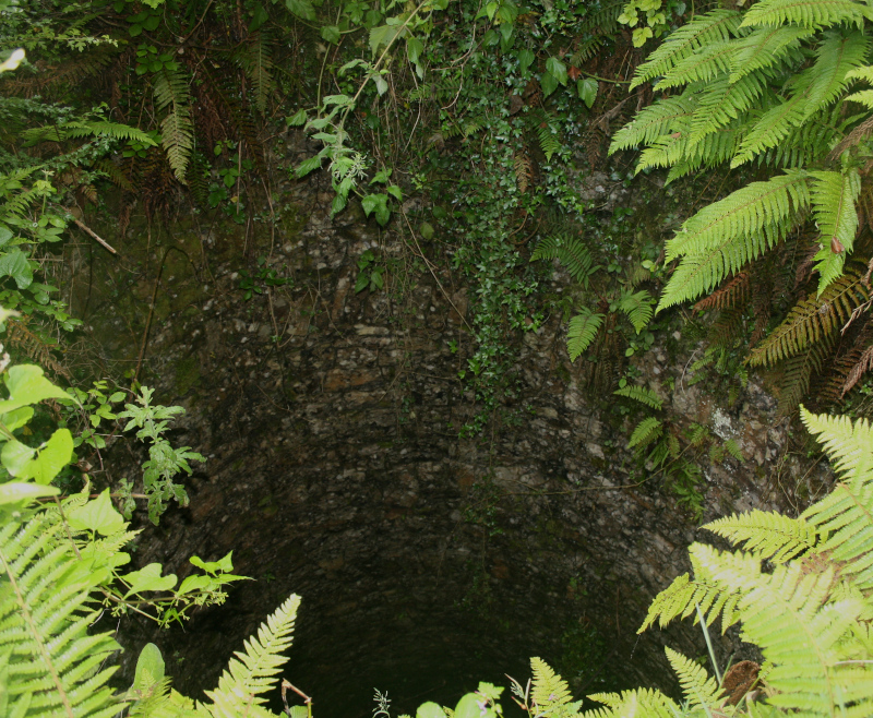 foto de un nevero del Pevidal. Es un pozo abierto excavado en la tierra con muros de piedra.