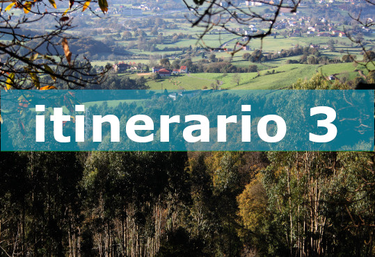 foto del itinerario 3 cuyo color distintivo es el amarillo