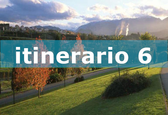 foto del itinerario 6 cuyo color distintivo es blanco y negro