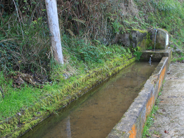 foto de la fuente de Folgueras. Es una fuente con abrevadero alargado construida en ladrillo y cemento