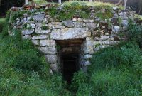 foto miniatura Calero de Muslera