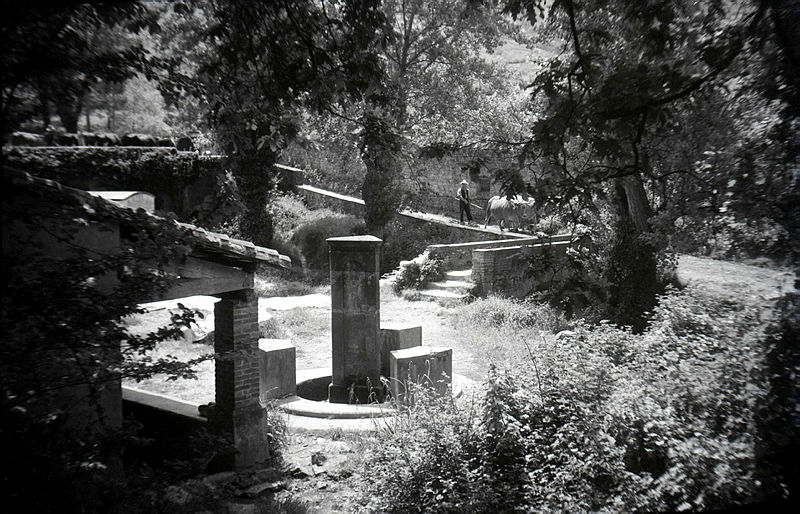 foto de una lavadero en primer plano y un hombre guiando un rebaño de vacas