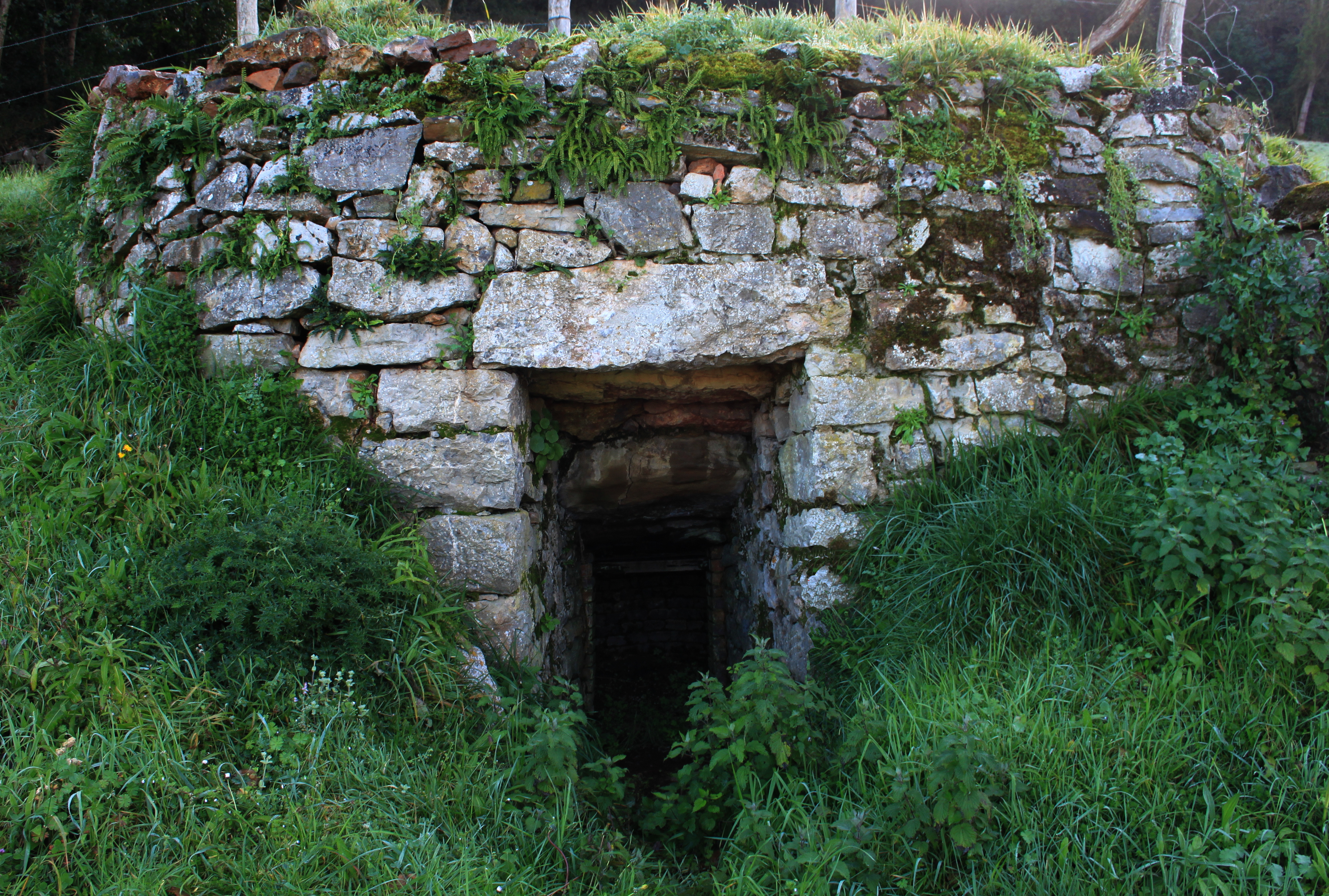 foto frontal del calero de Muslera en el Pueblo de Llugarín. Es una estructura de piedra con una pequeña puerta para acceder al interior y recoger la cal