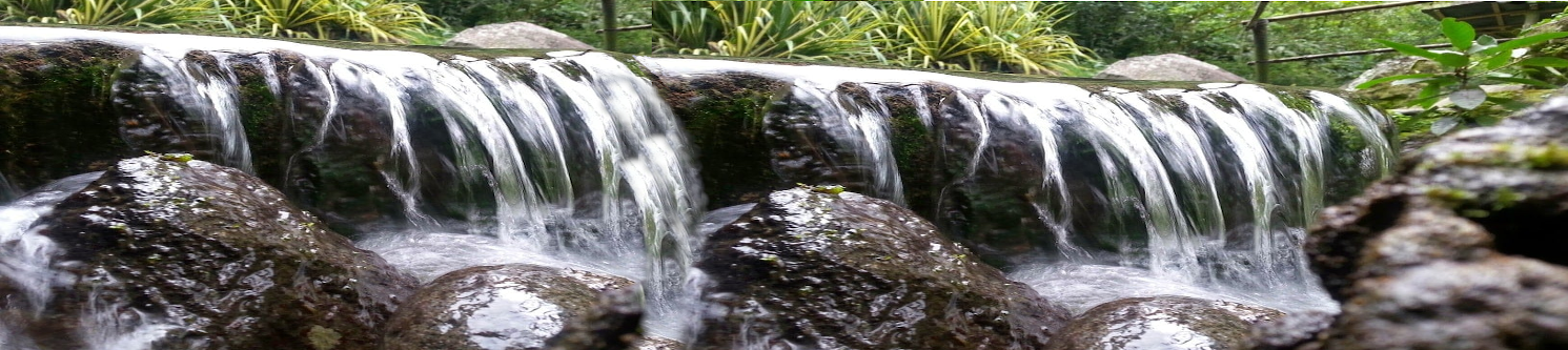 portada de los cuatro manantiales