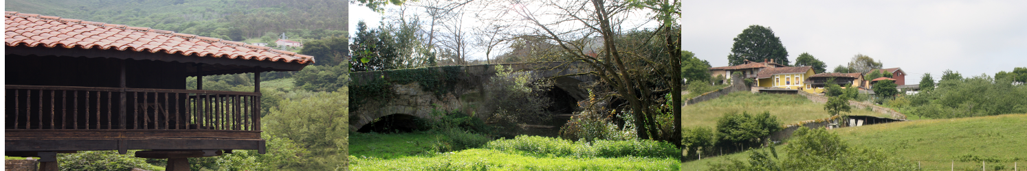 portada del Naranco Rural