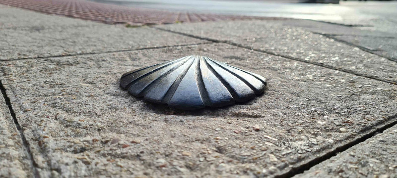 foto de una concha de peregrino distintiva de El Camino de Santiago. La concha está hecha de metal y está incrustada en una acera.